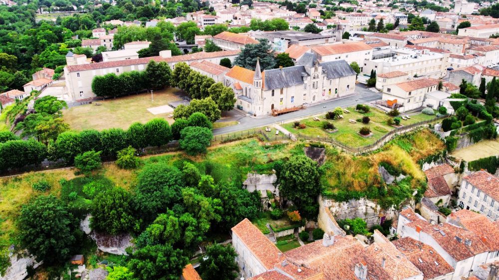 debroussaillage la rochelle 1.jpg